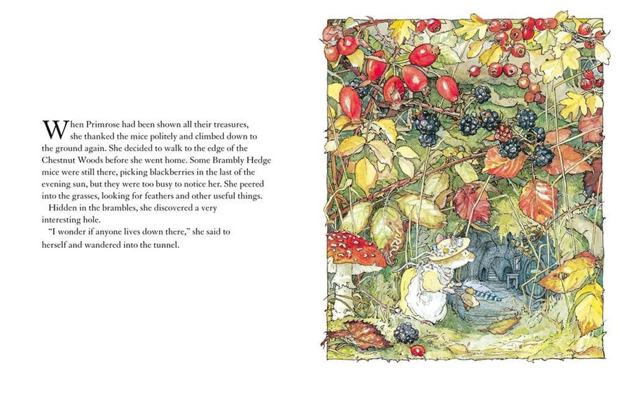 Brambly Hedge - Autumn Story🧡🍂
