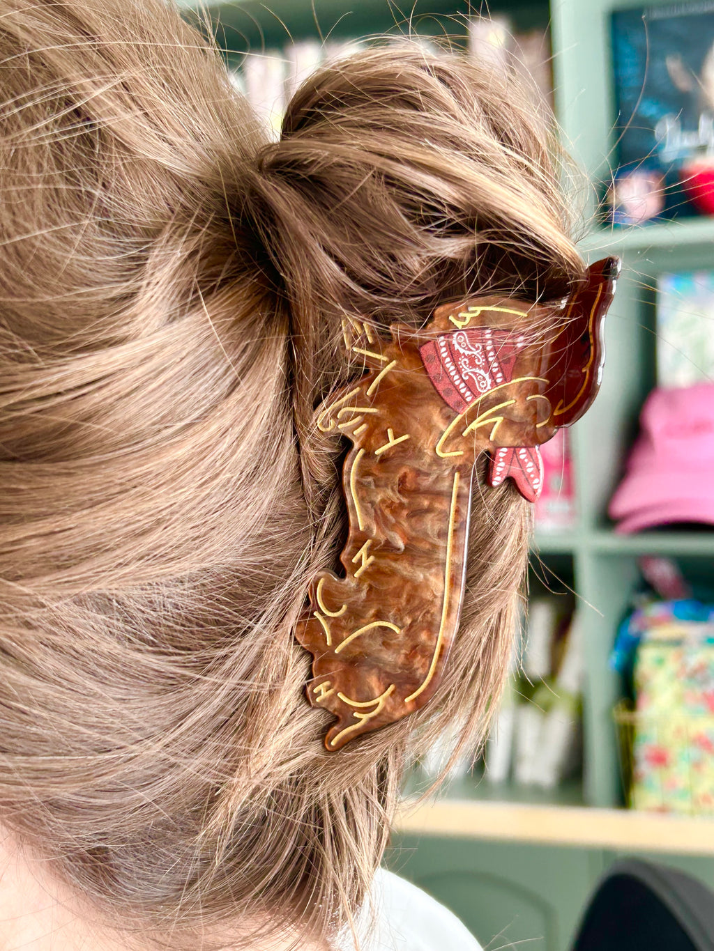 ✨Claw Clip Collection✨